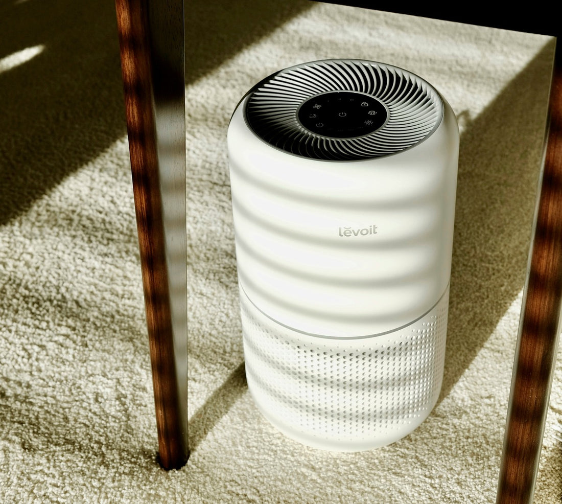 Air purifier running in the living room for mold protection.